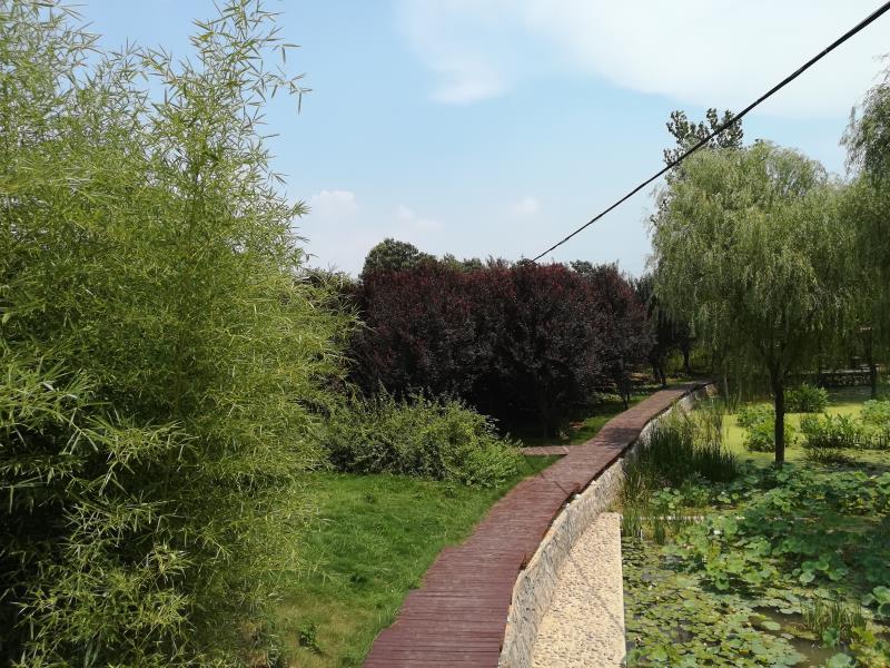 禹州市鸿畅镇每个季节都有不一样的风景