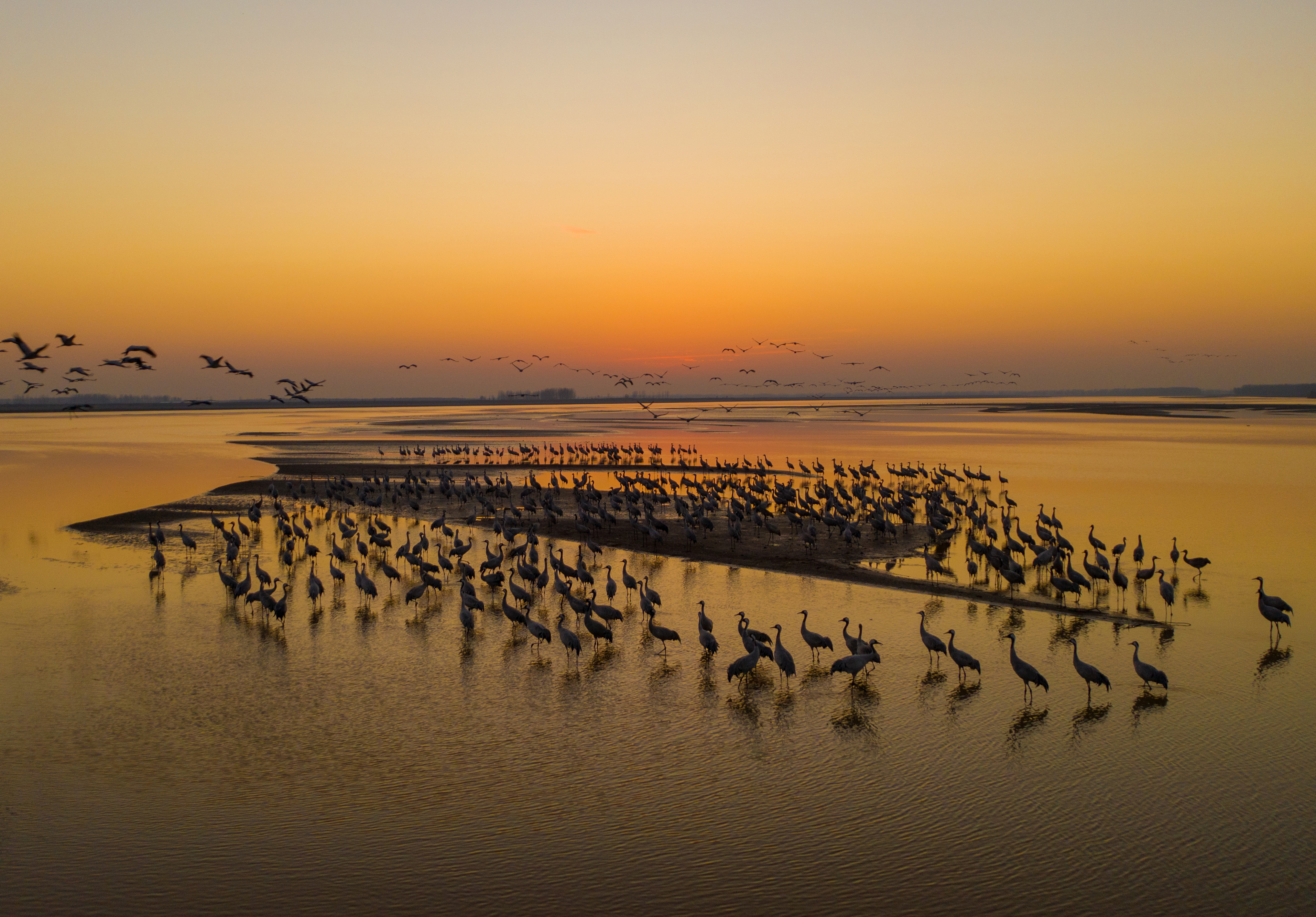 兰考脱贫五周年改革创新走在前