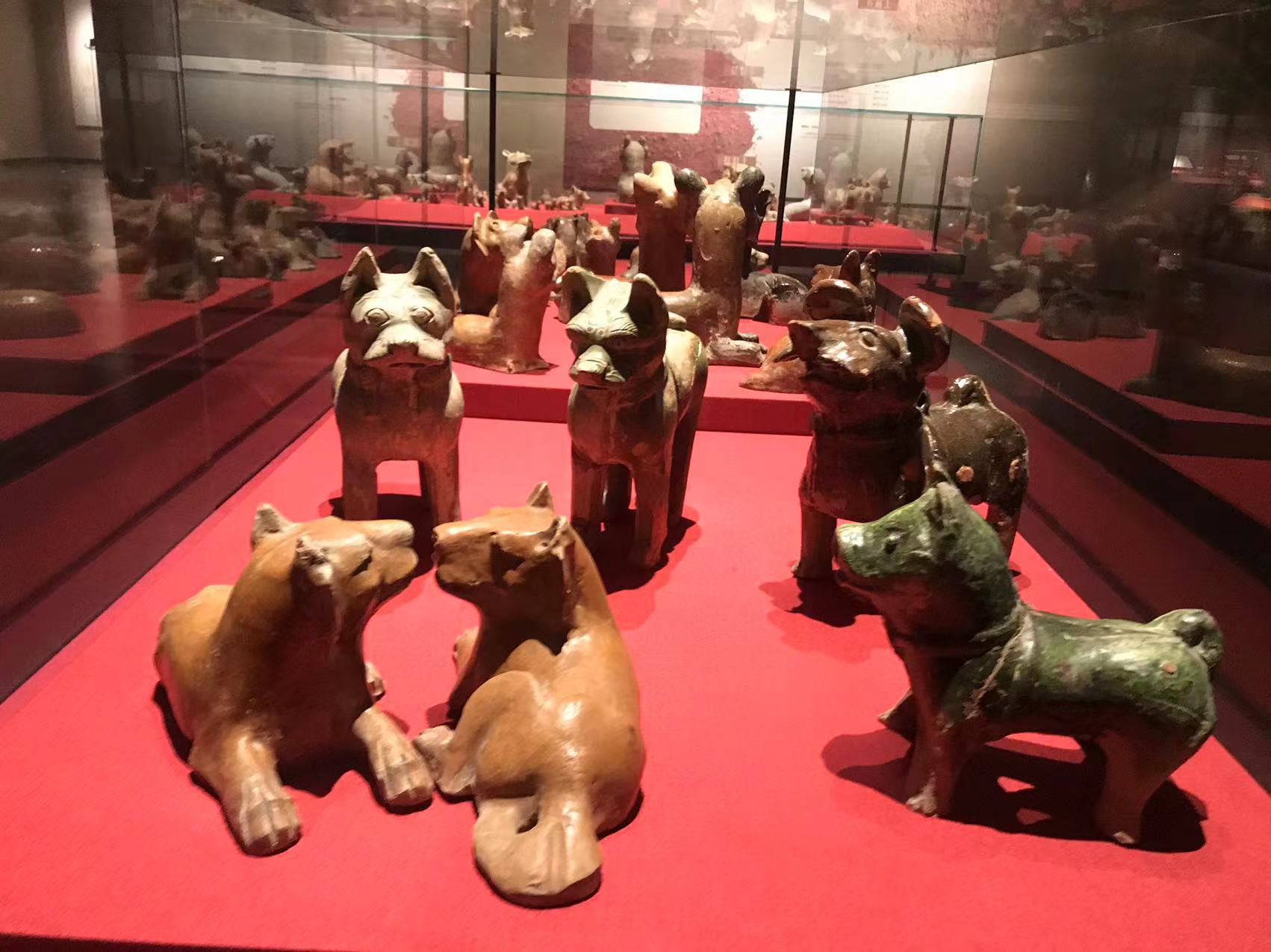 南阳博物馆陶狗.jpg