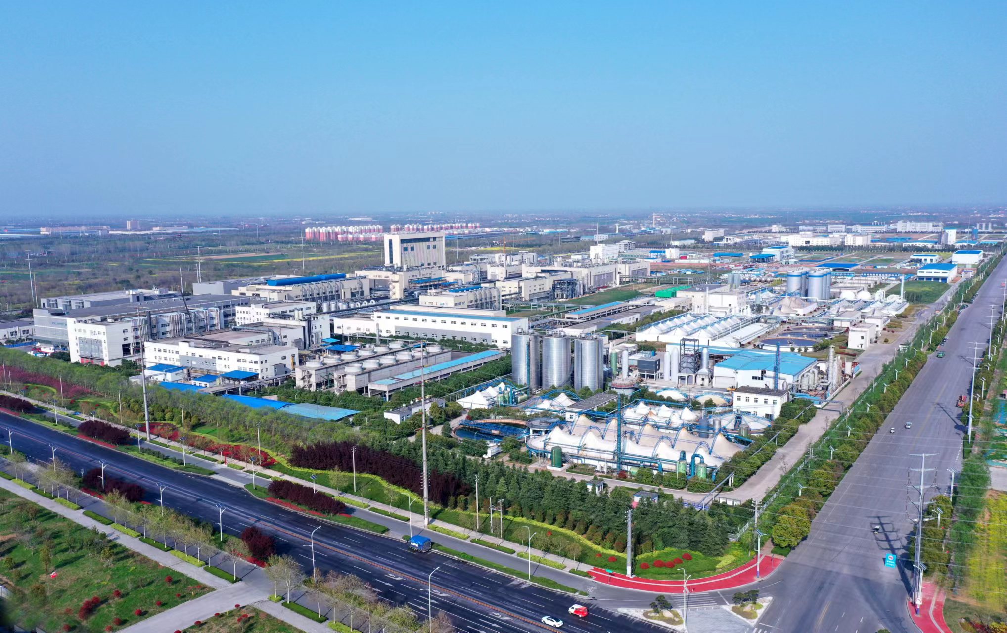 河南日报头版聚焦打造中国药谷驻马店发力新千亿级产业集群