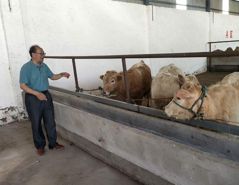 23908822321624534 002.jpg