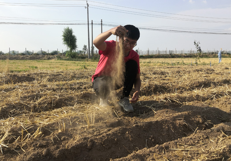 4752562261865918 000.jpg