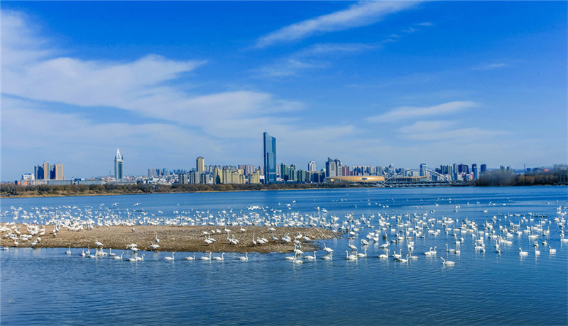 三门峡图片图片