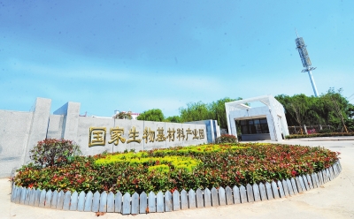 p52_b.jpg