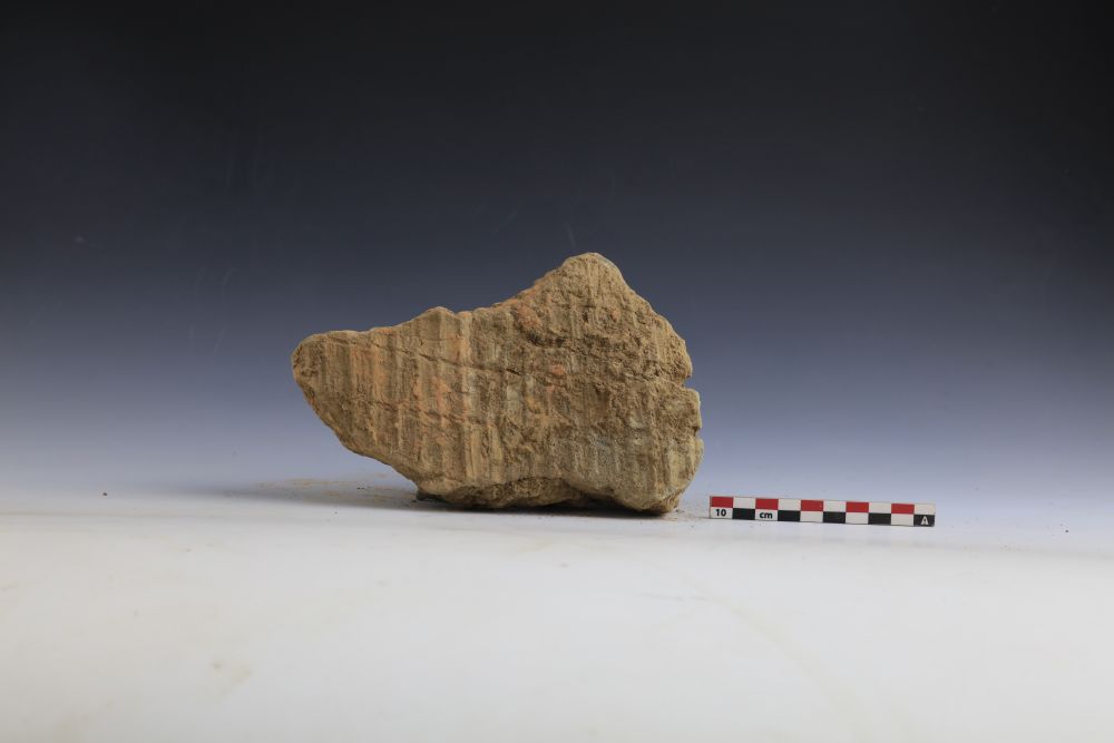 央媒观豫丨安阳发现距今约7800年聚落遗址