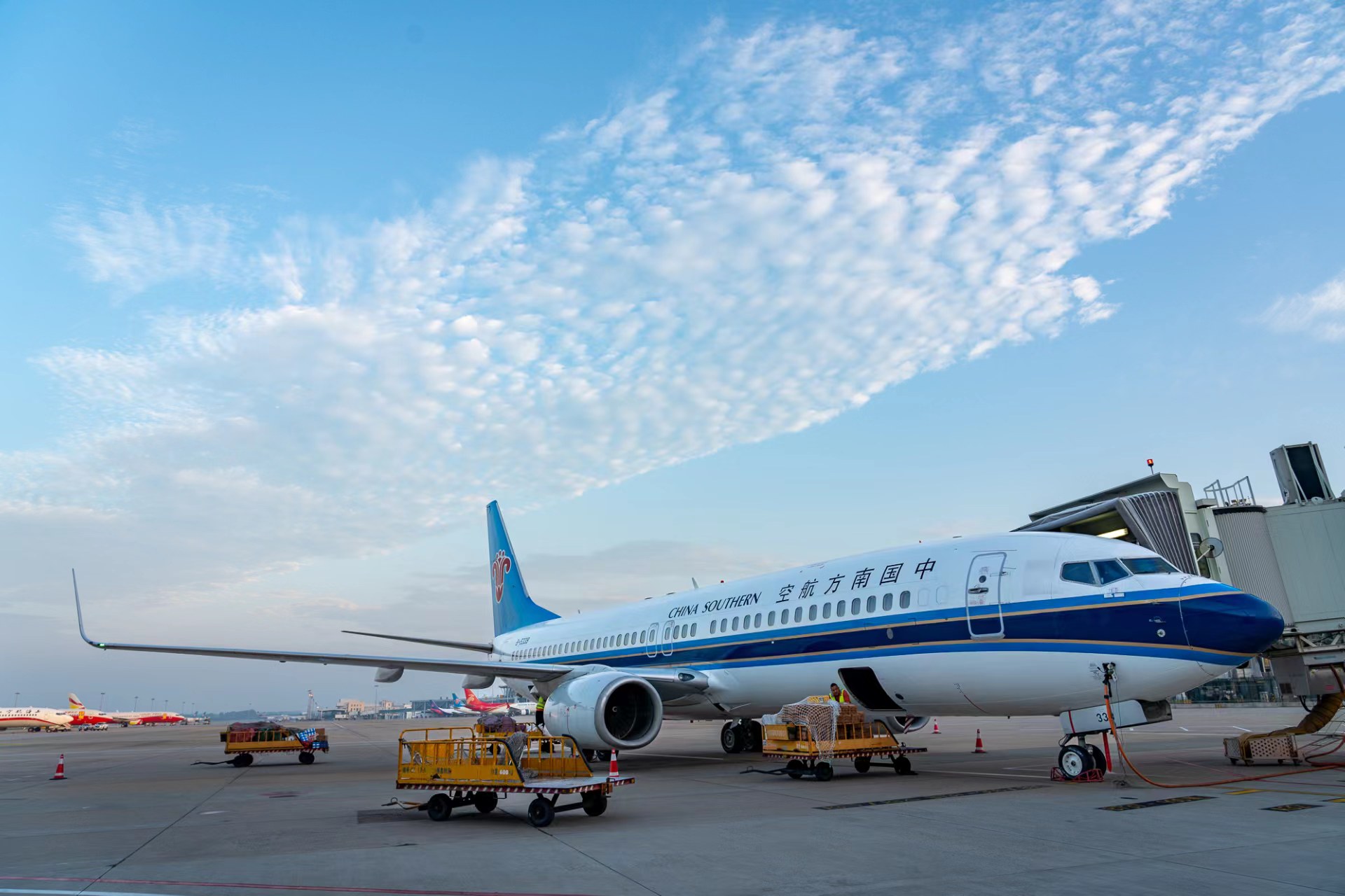 600000 旅客在此抵离,郑州机场多措并举迎双节