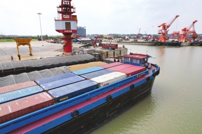 p27_b.jpg