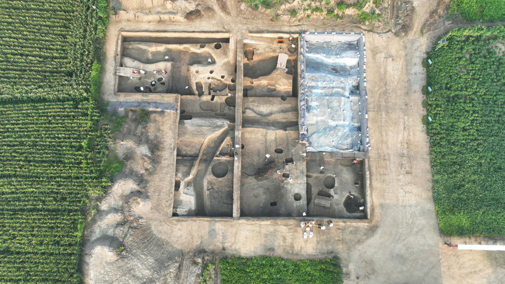 央媒观豫丨豫东地区考古发现4000年前夏代“粮仓”