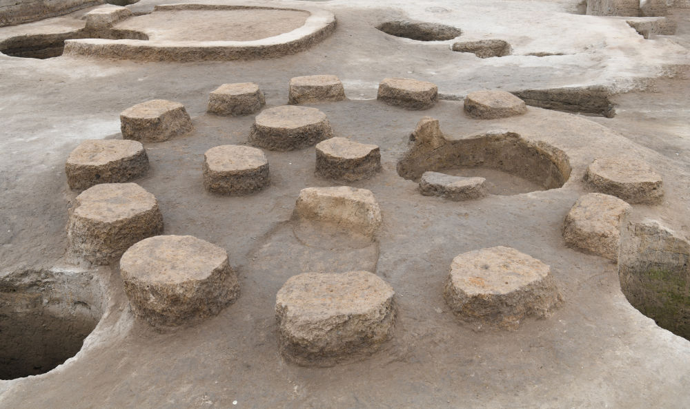 央媒观豫丨豫东地区考古发现4000年前夏代“粮仓”