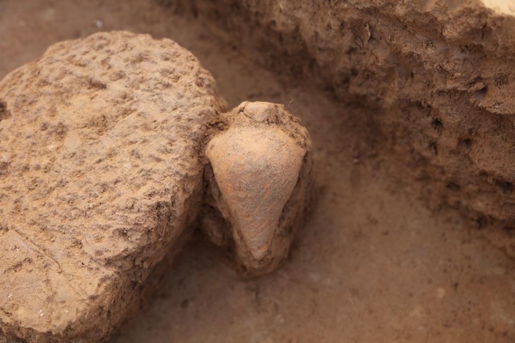 央媒观豫｜河南裴李岗遗址发现距今7000多年的小口尖底瓶