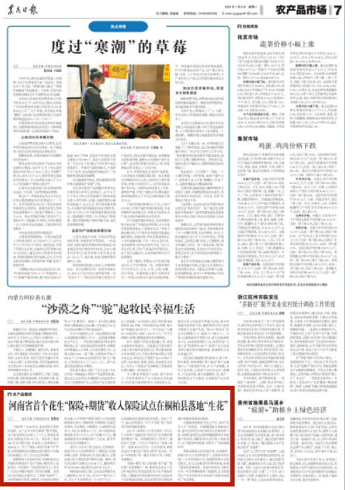 央媒观豫 | 河南省首个花生“保险+期货”收入保险试点在桐柏县落地“生花”