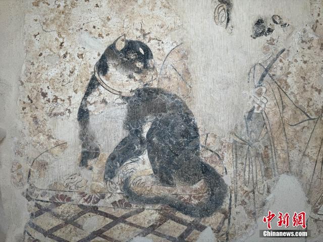 央媒观豫丨历时十余载修复 千年唐代壁画重现芳华
