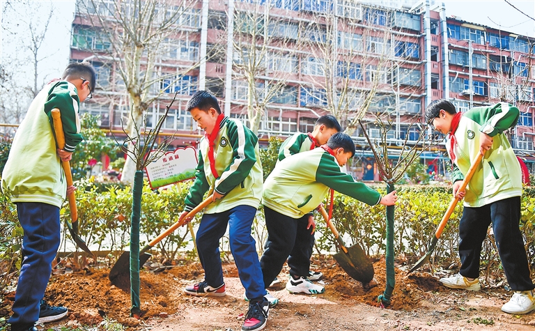 3.12植树节 | 春风一拂千山绿——河南省春季植树造林综述