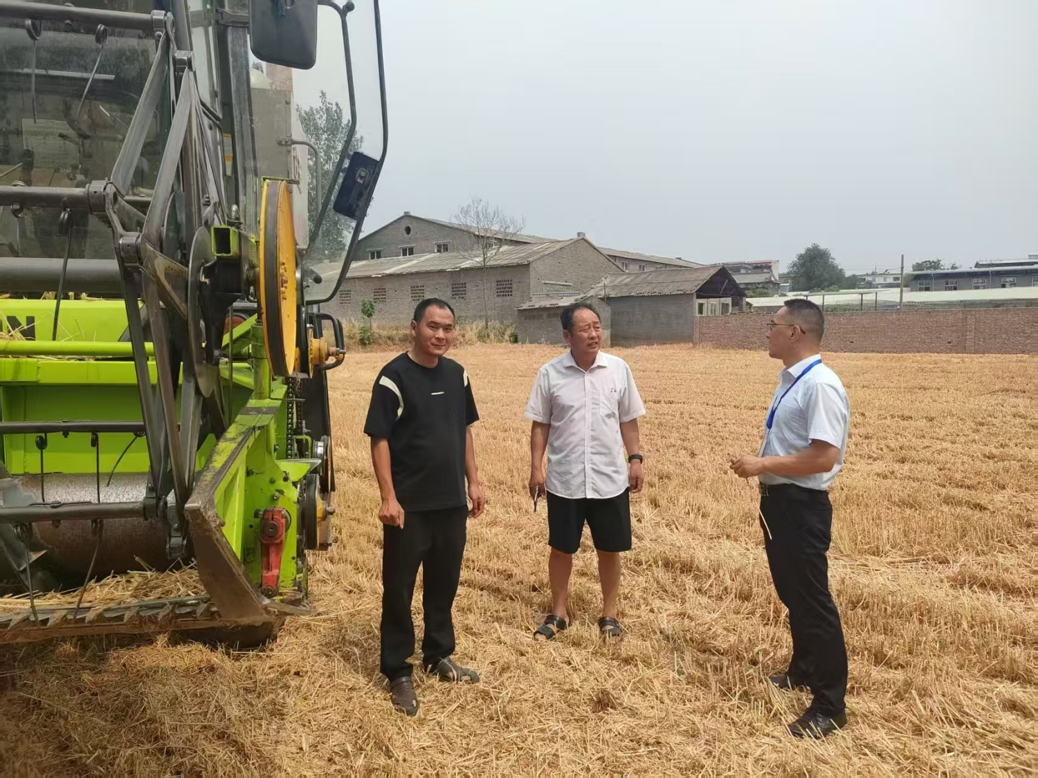 郏县纪委监委工作人员到安良镇赵楼村，实地走访镇村干部和群众了解麦收情况。.jpg