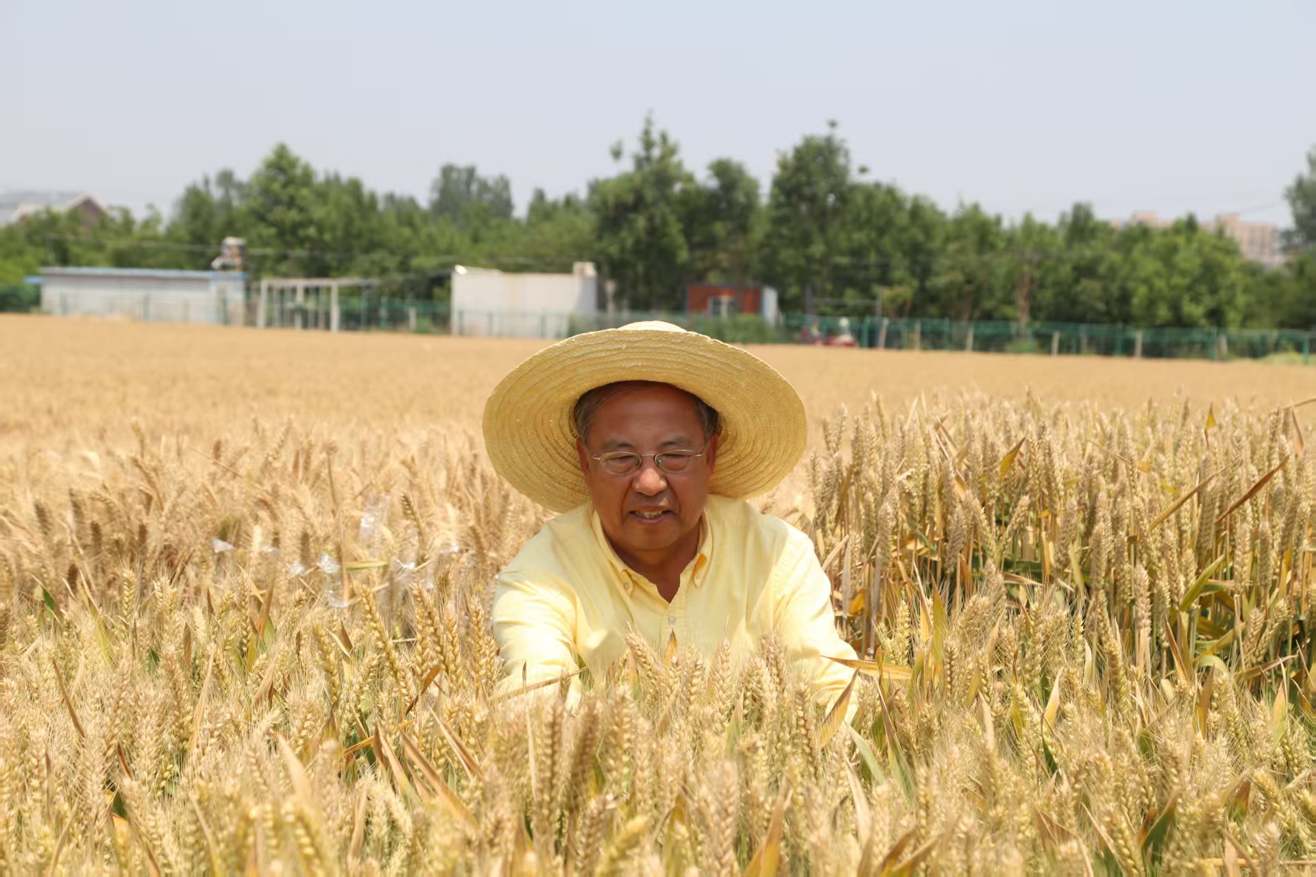 科技育种2.jpg