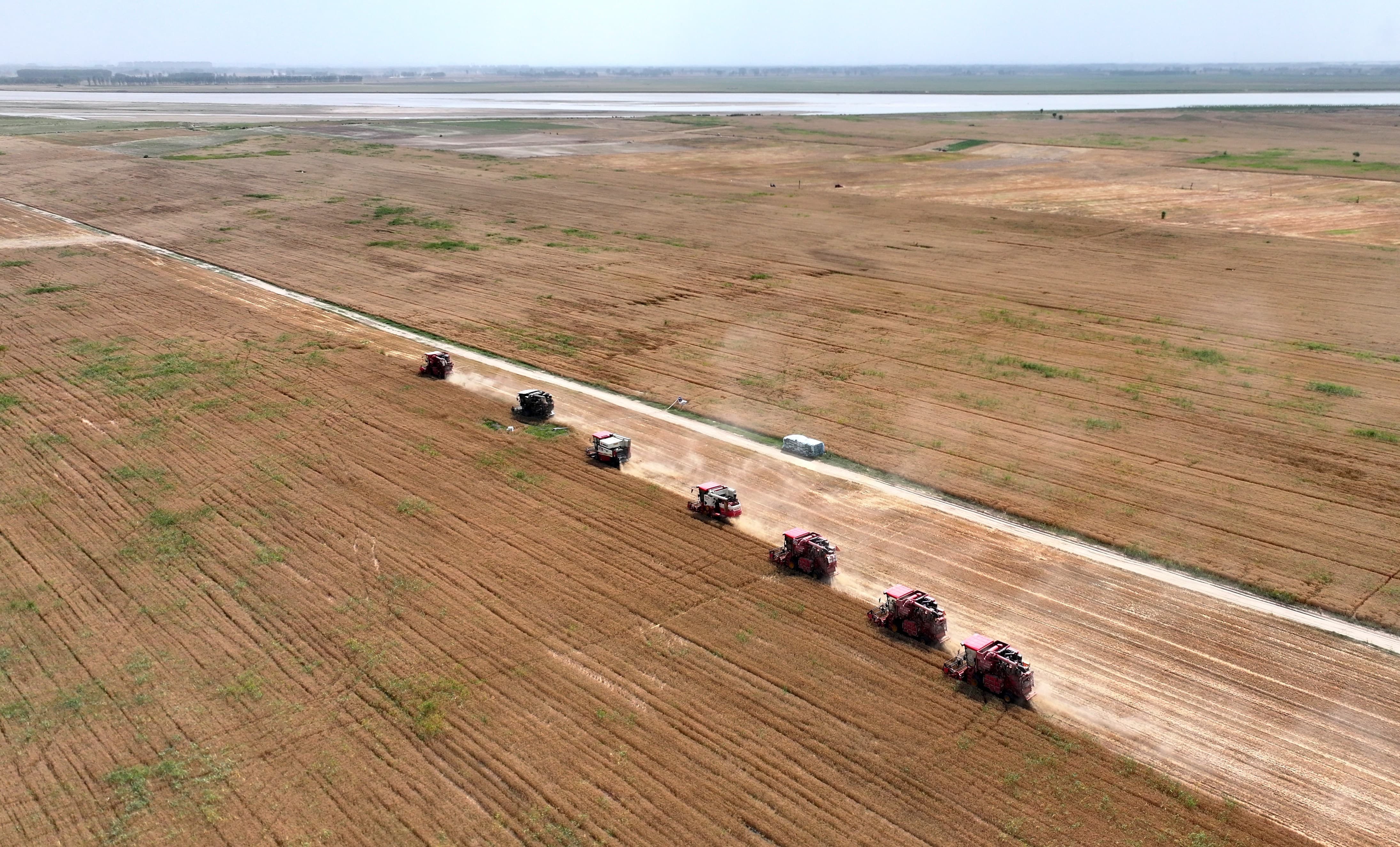DJI_20250603144819_0028_D.jpg