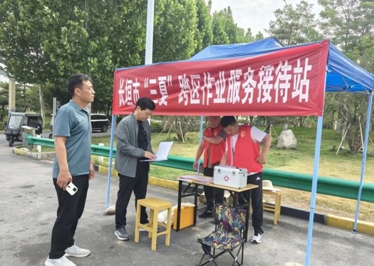 长垣割麦3.jpg