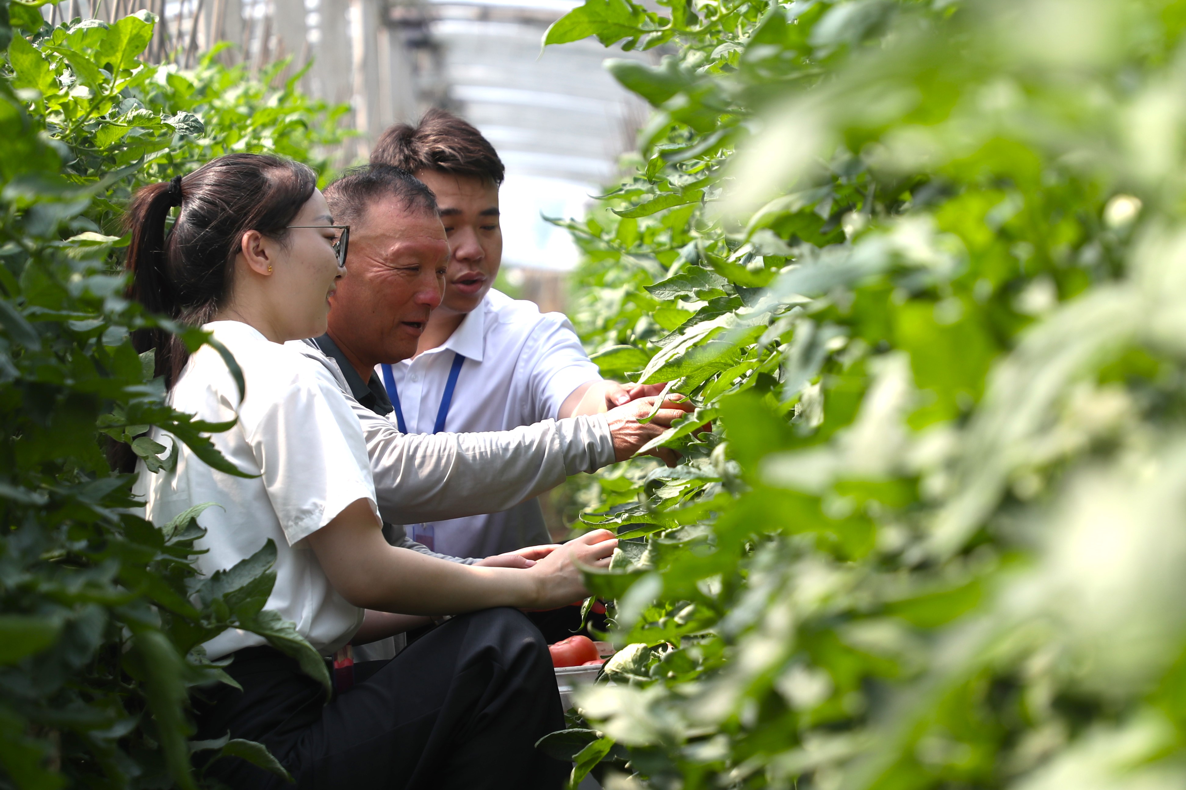 解放区纪委监委：“提级监督”推动基层高效能治理