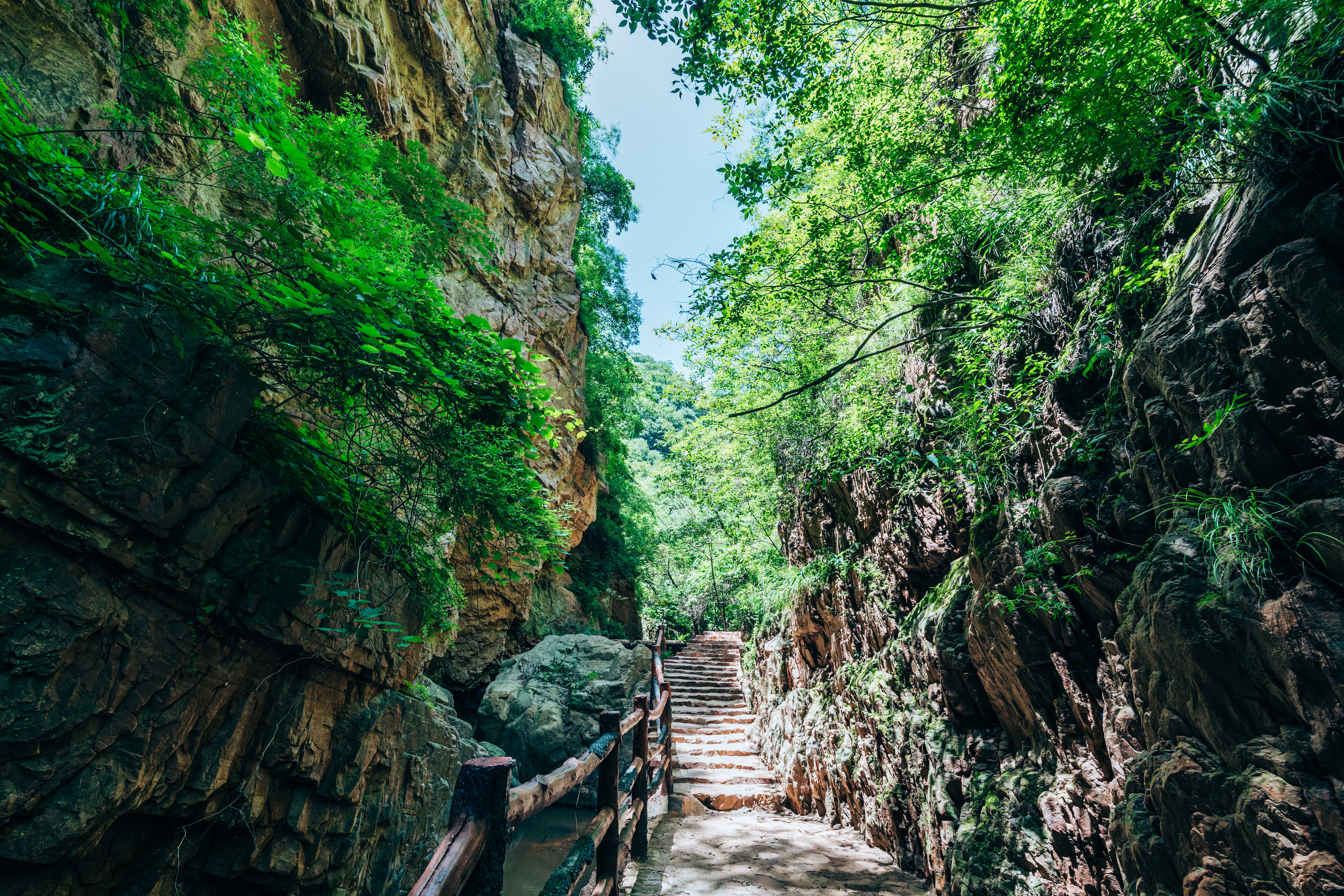 凤泉湖 (2).jpg