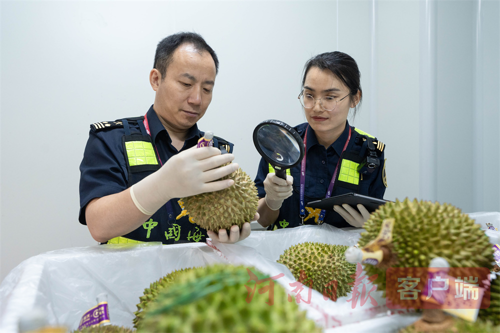 郑州机场海关监管科根据相关规定对入境榴莲随机开箱抽检2.jpg