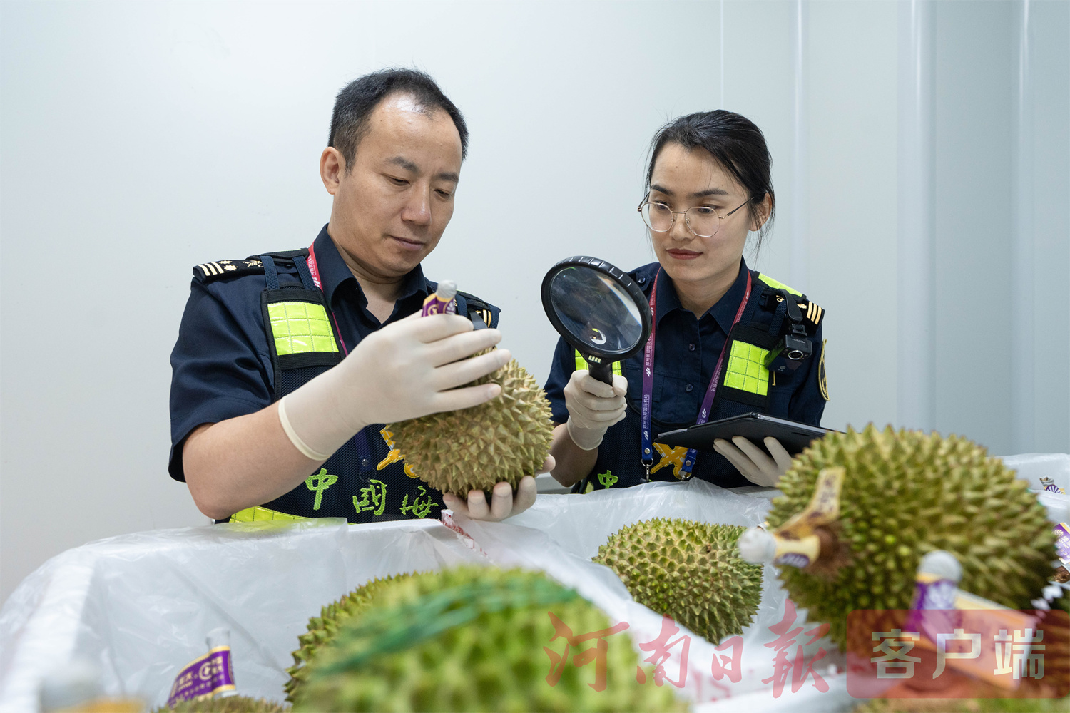 郑州机场海关监管科根据相关规定对入境榴莲随机开箱抽检2.jpg