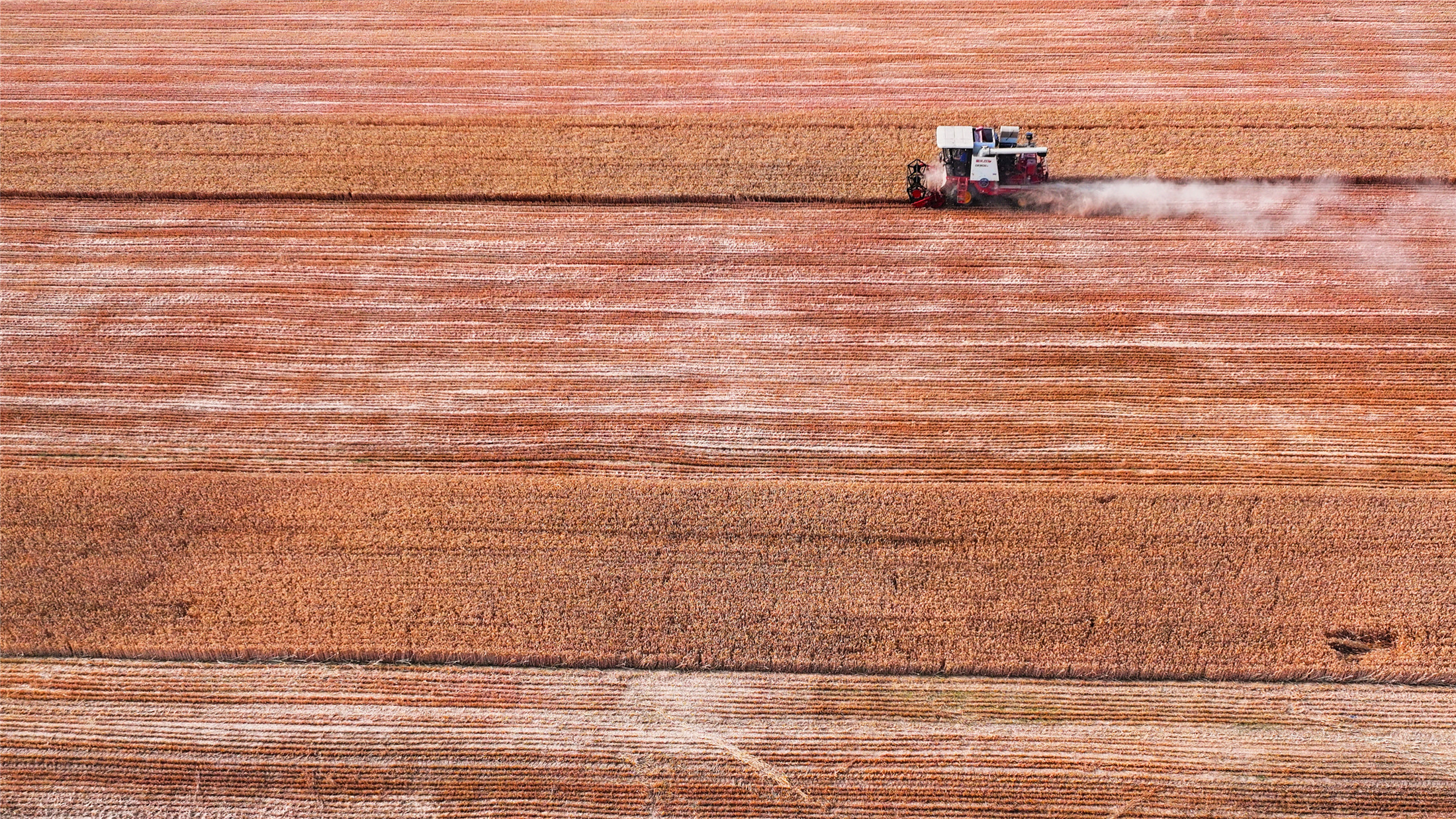 DJI_20250520231650_0821_D_副本.jpg