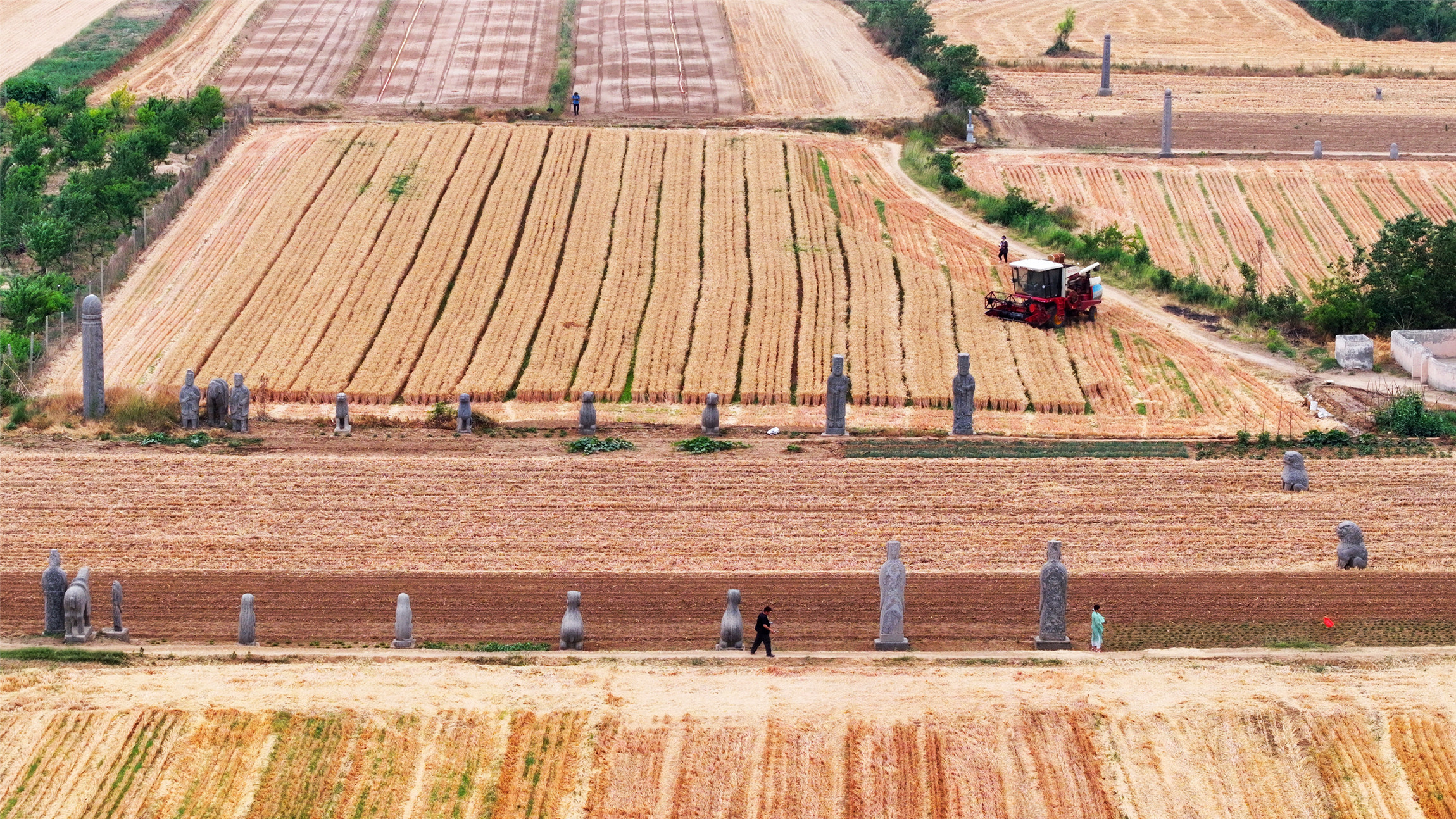 DJI_20240531135258_0749_D_副本.jpg