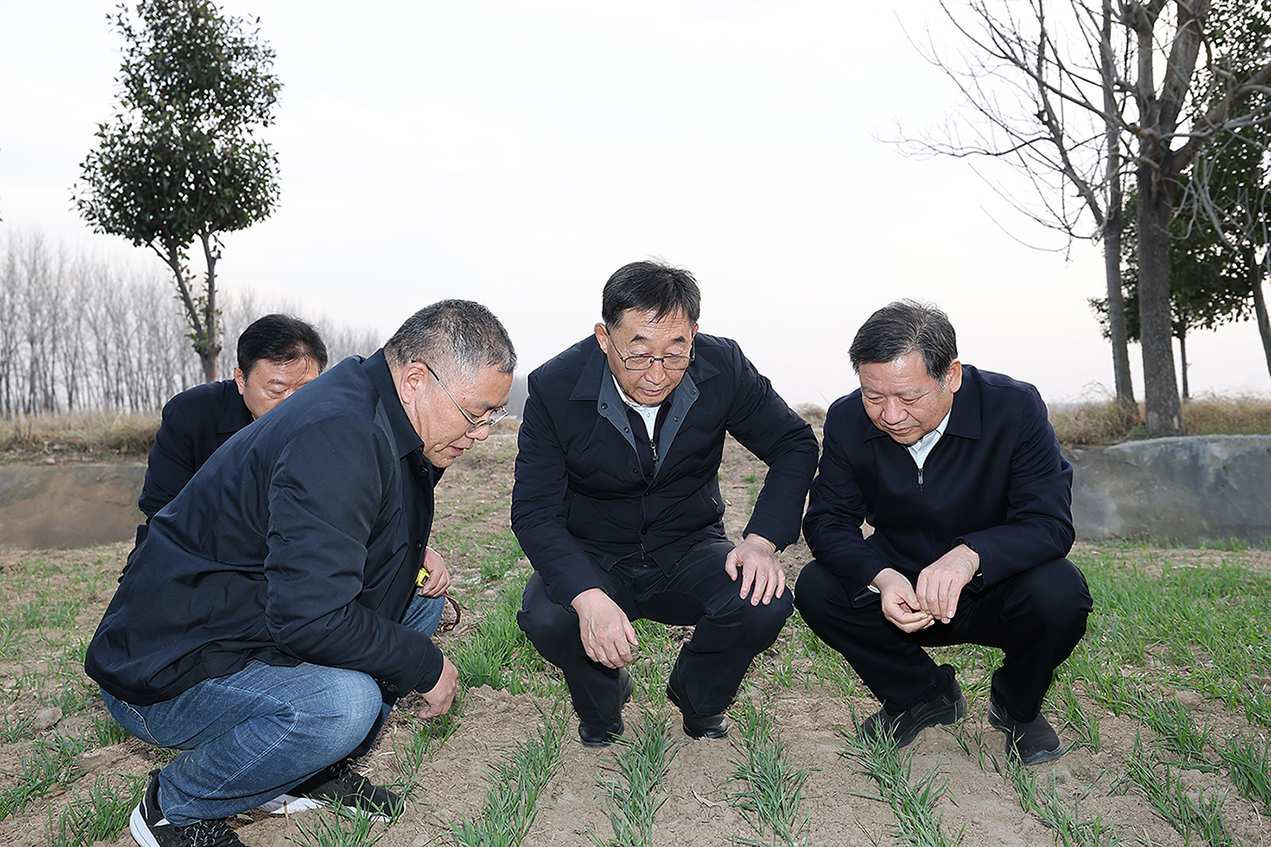 劉寧到駐馬店平輿上蔡西平調(diào)研時強(qiáng)調(diào)：突出特色優(yōu)勢 加快轉(zhuǎn)型升級 推動縣域經(jīng)濟(jì)高質(zhì)量發(fā)展