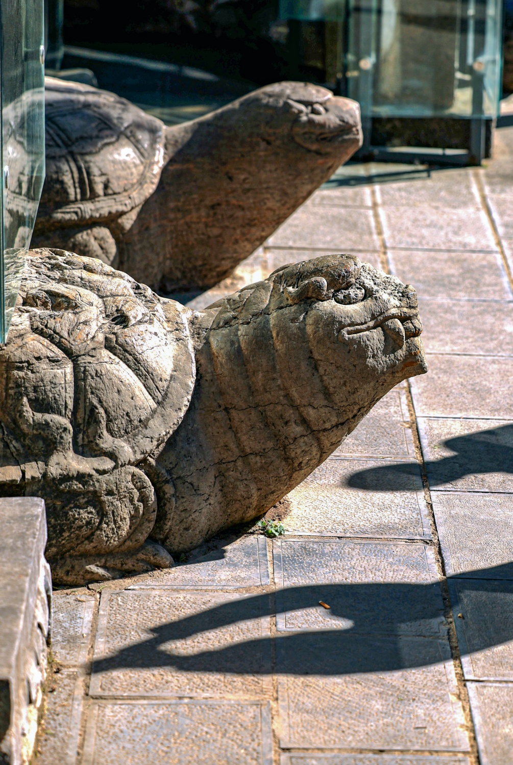 6847186553594979 23.jpg