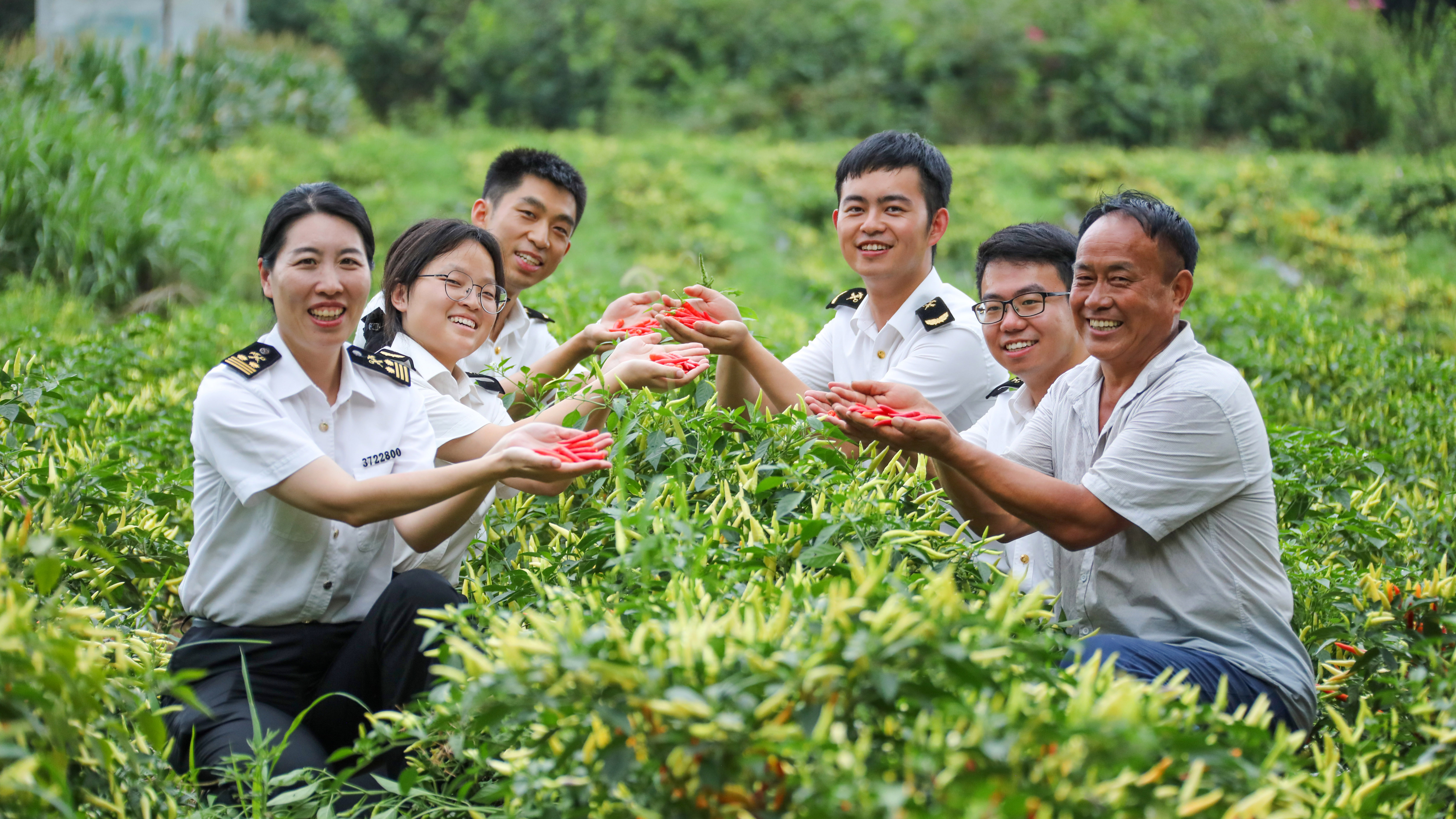 8875946016156755 辣椒豐收.jpg