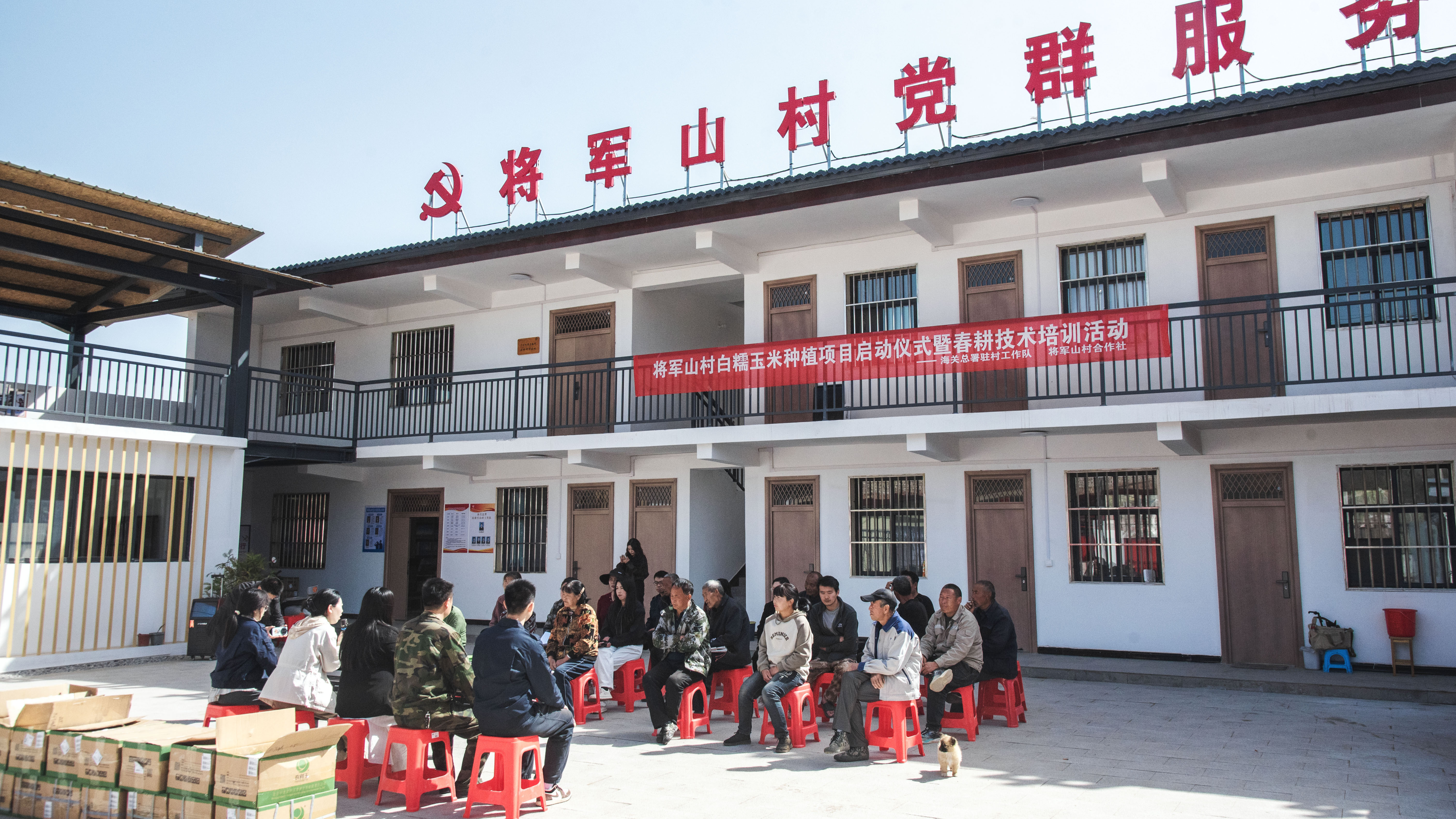 23682636911009768 白糯玉米種植技能培訓.jpg