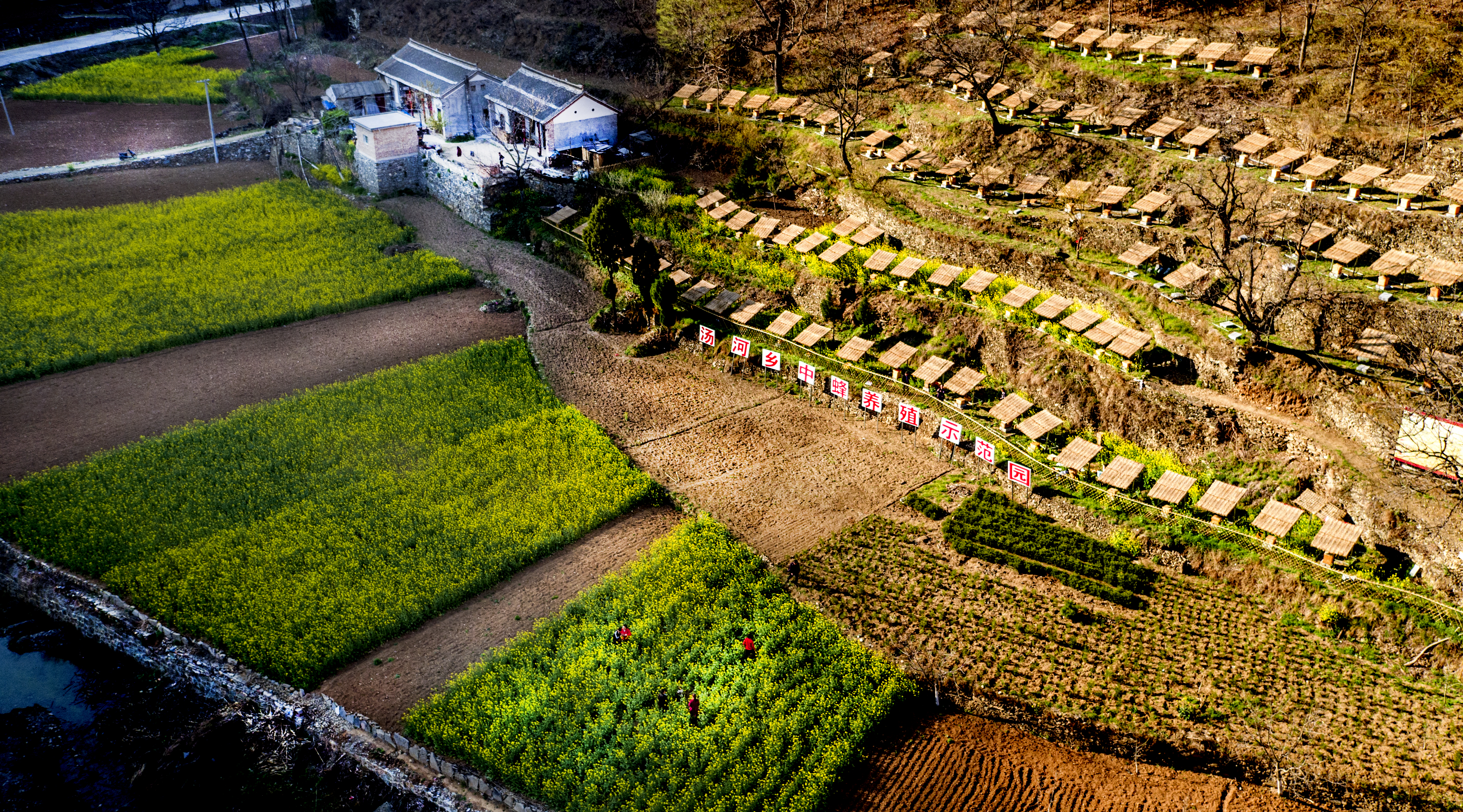 4057229930399572 51412e791cc8d3496466ebffee6acfa.jpg