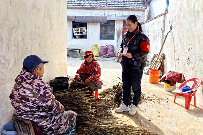 8180694696751767 圖片1.png