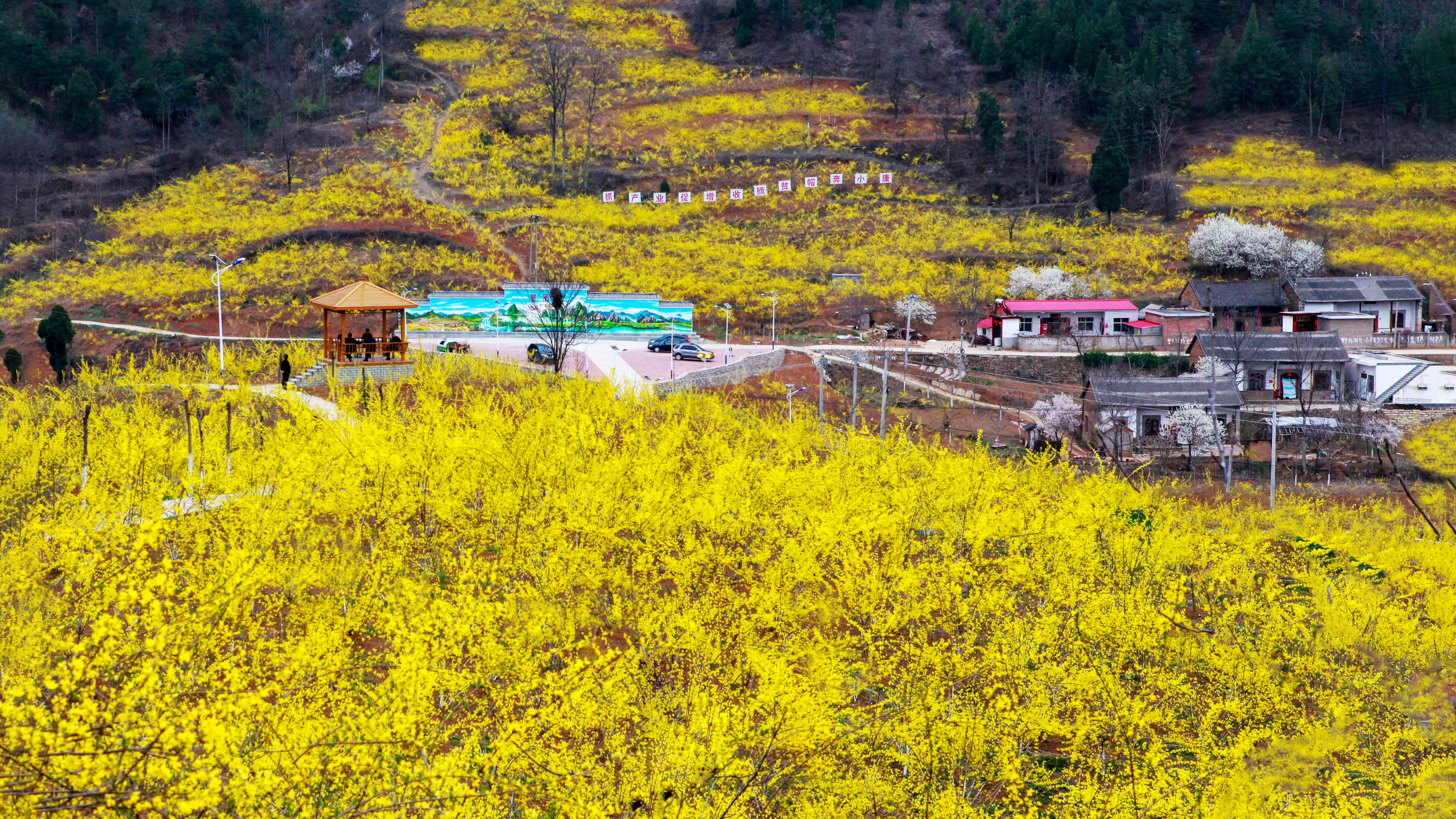 796299575249703 村在景中( 軒轅鐵軍攝).jpg