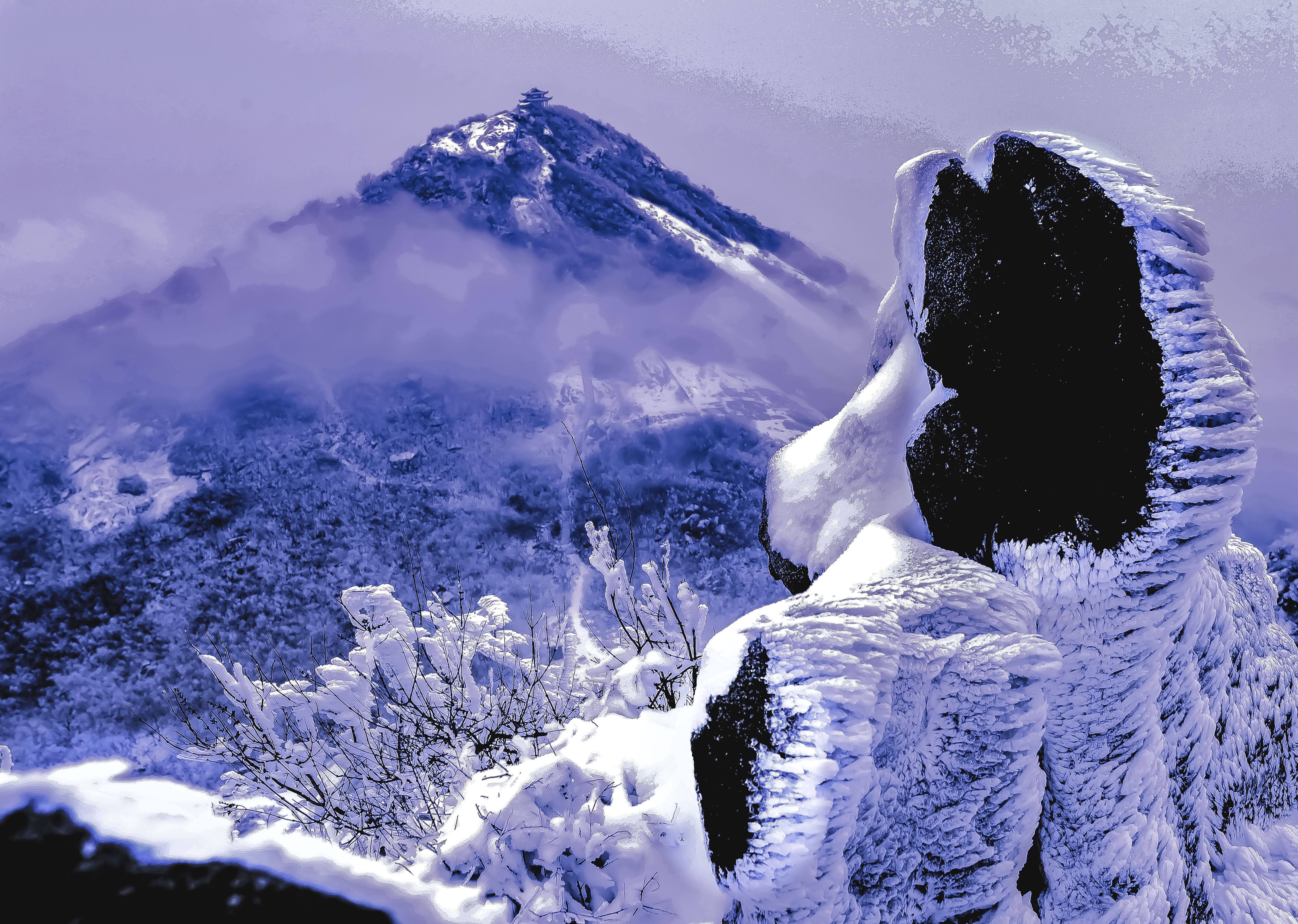 9365950033124329 金頂山_proc.jpg