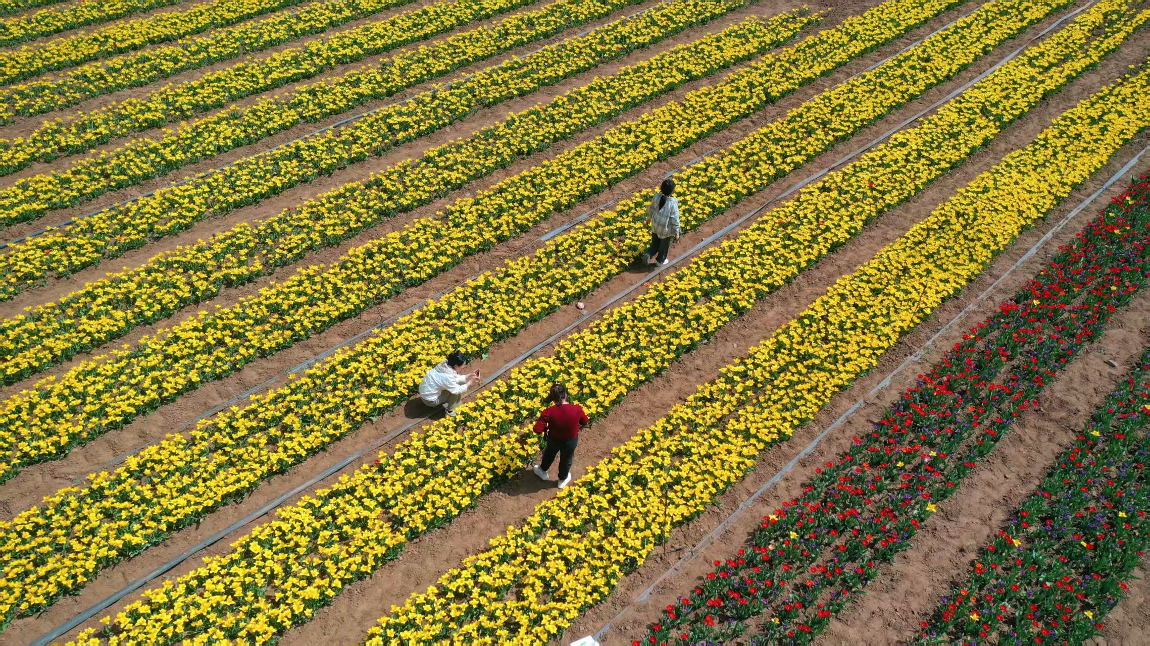 26743690065110013 408582bd425f1d7203d0f7c6014b2a2.jpg