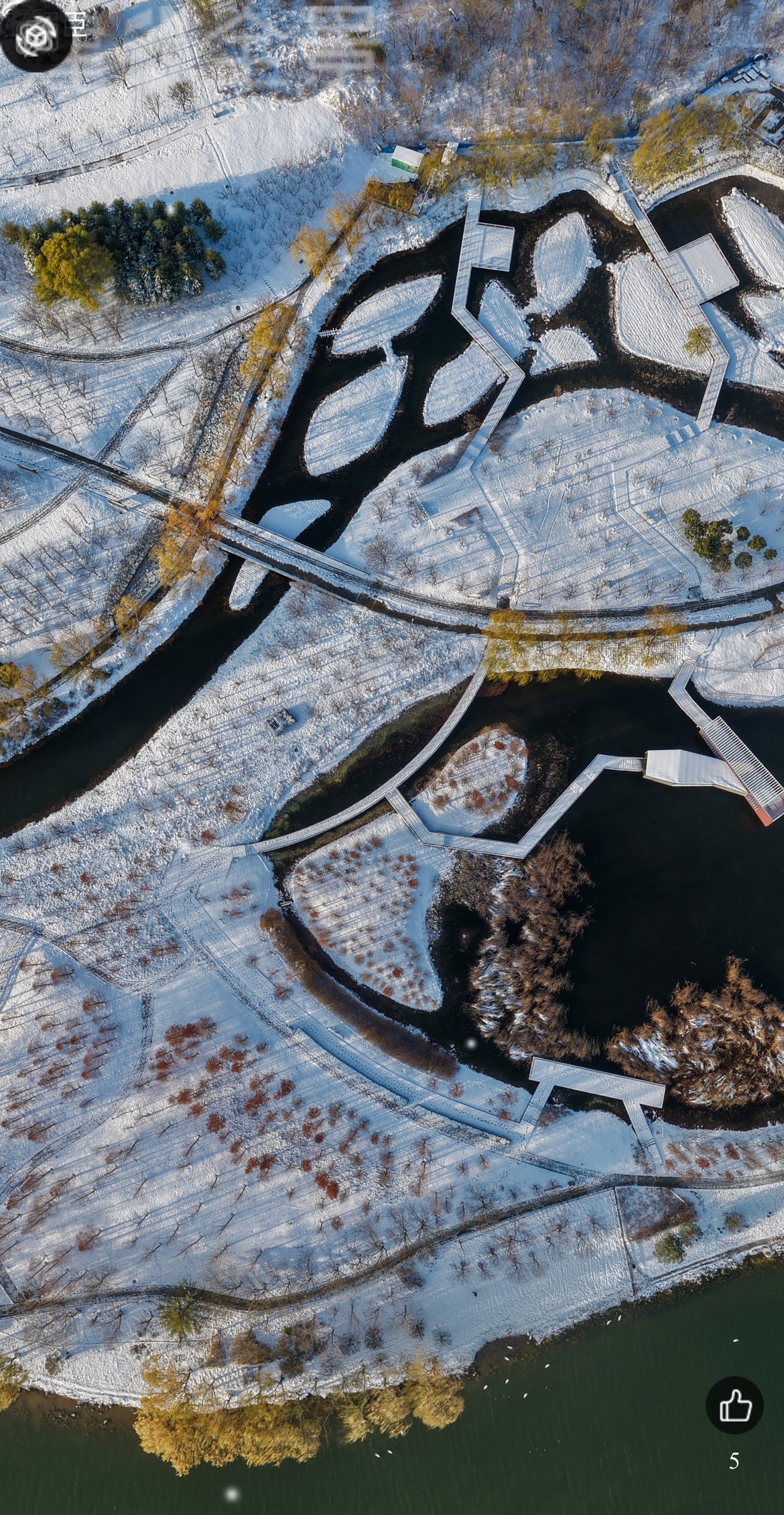 8906543509828347 83cac49a3b29e8c1a20adf1bfa3980fa.jpg