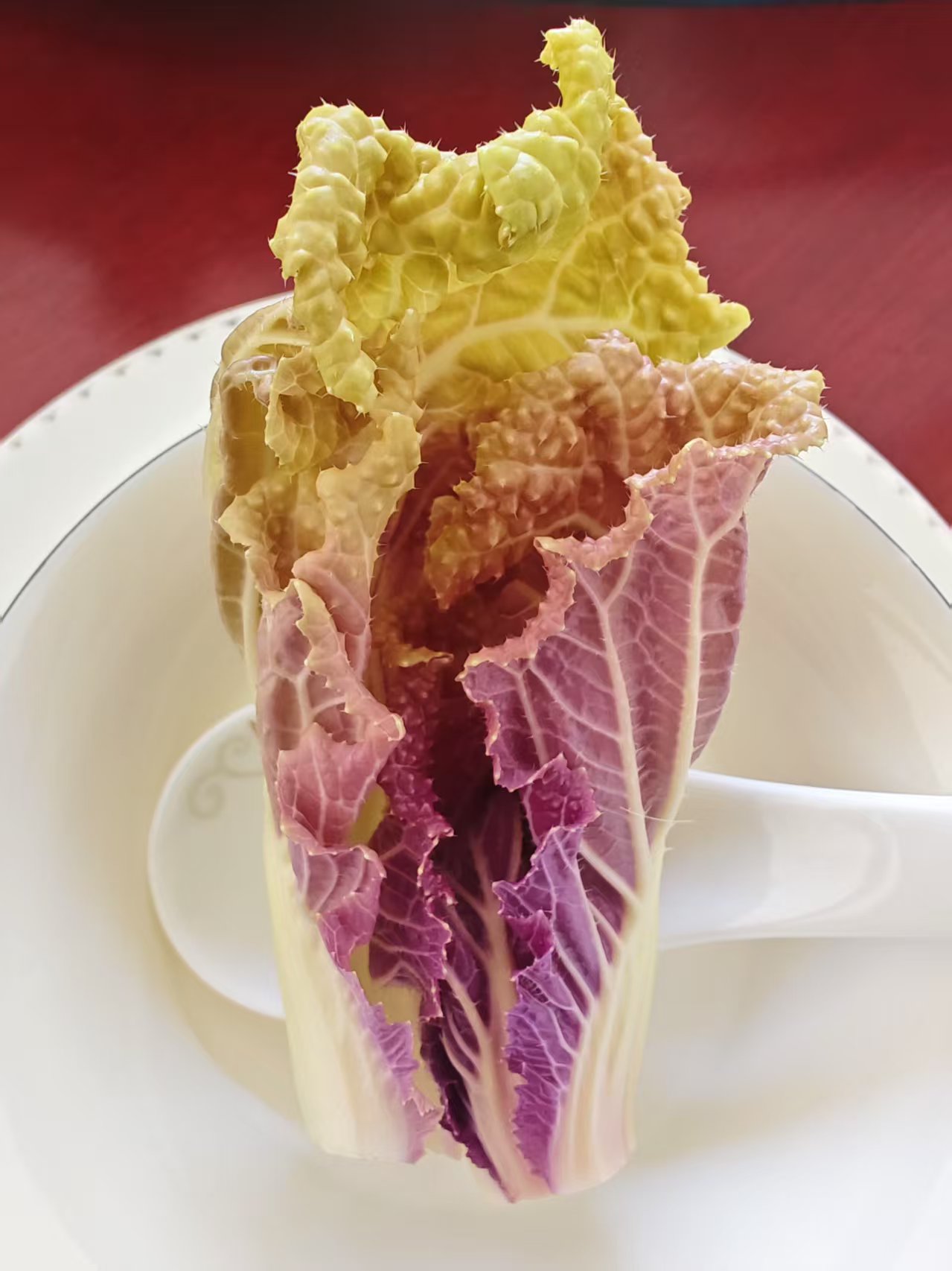 72063488331033595 9599c85ed438cdef0e050a14b0816386.jpg