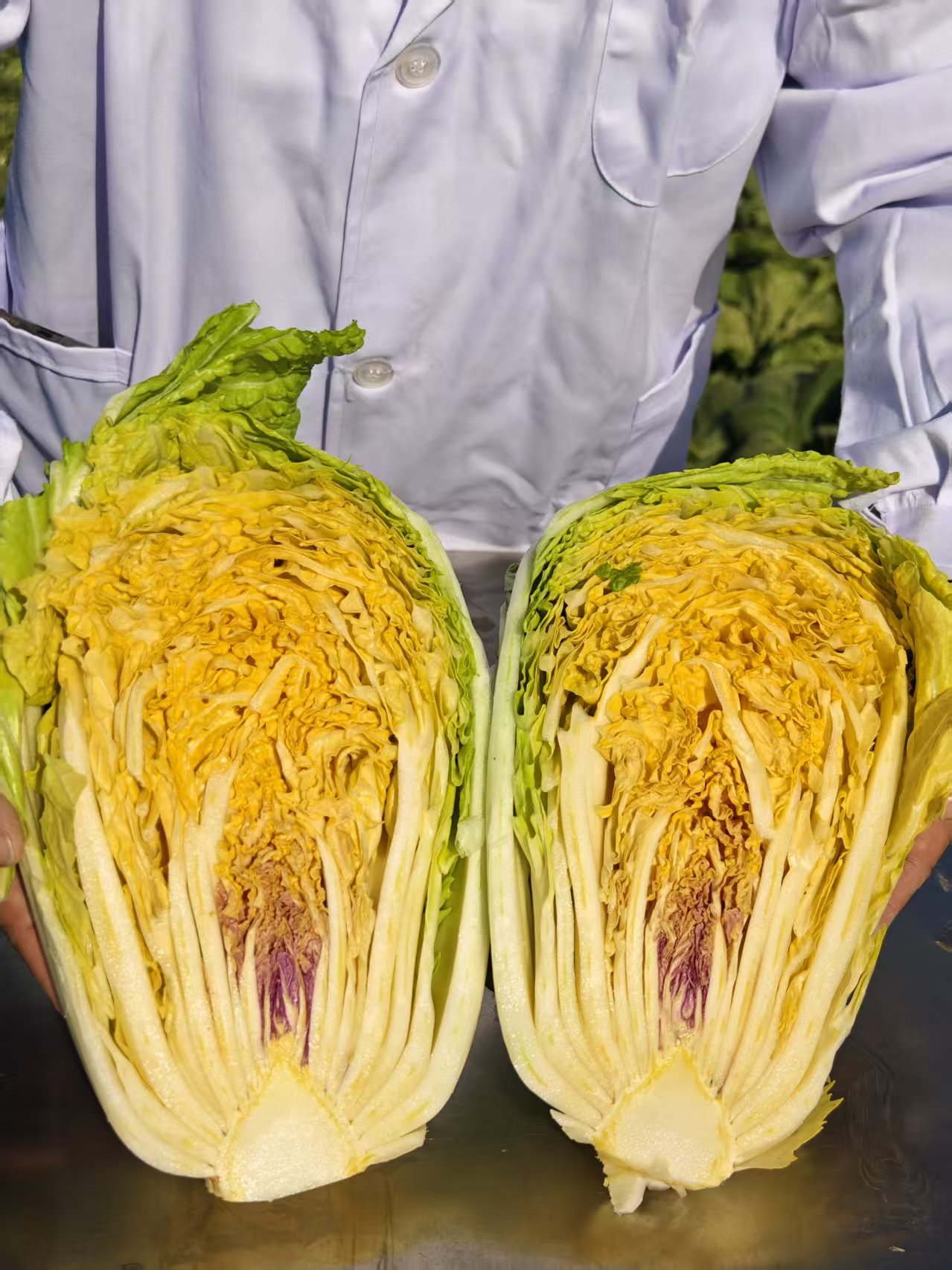 39234881382129884 bab86388898d5724a9085c420a76729d.jpg