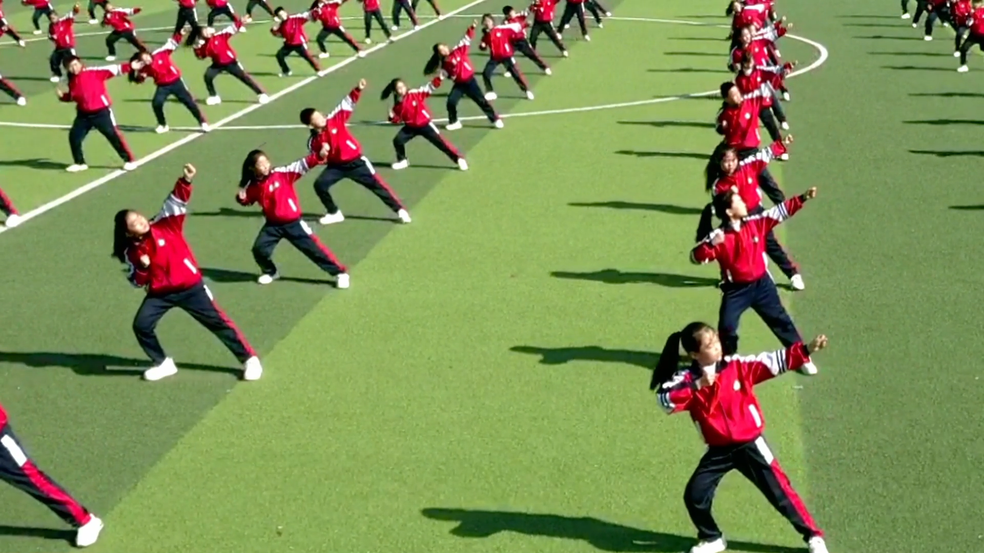 8154122754185077 12月11日(3).png