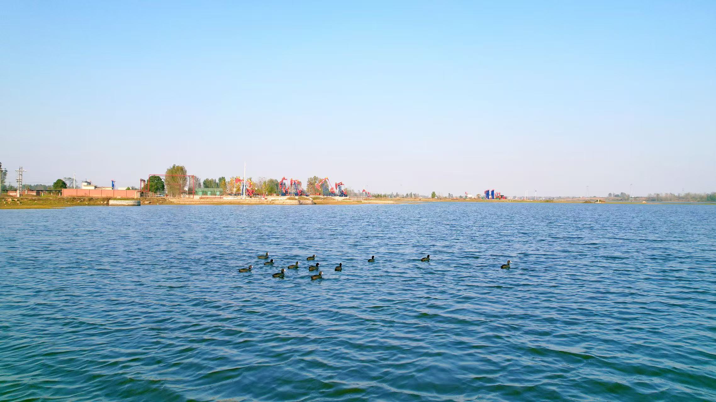 573056276341981 微信圖片_20251216090641_225_10.jpg