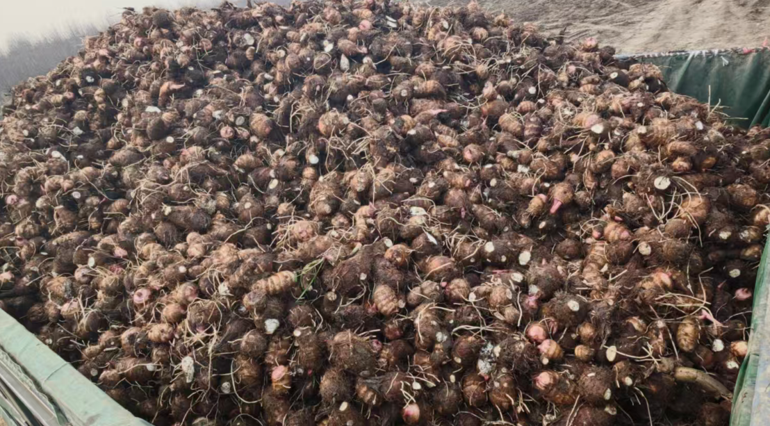 32278199509572623 圖片.png