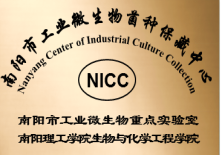 4527293053342563 image.png