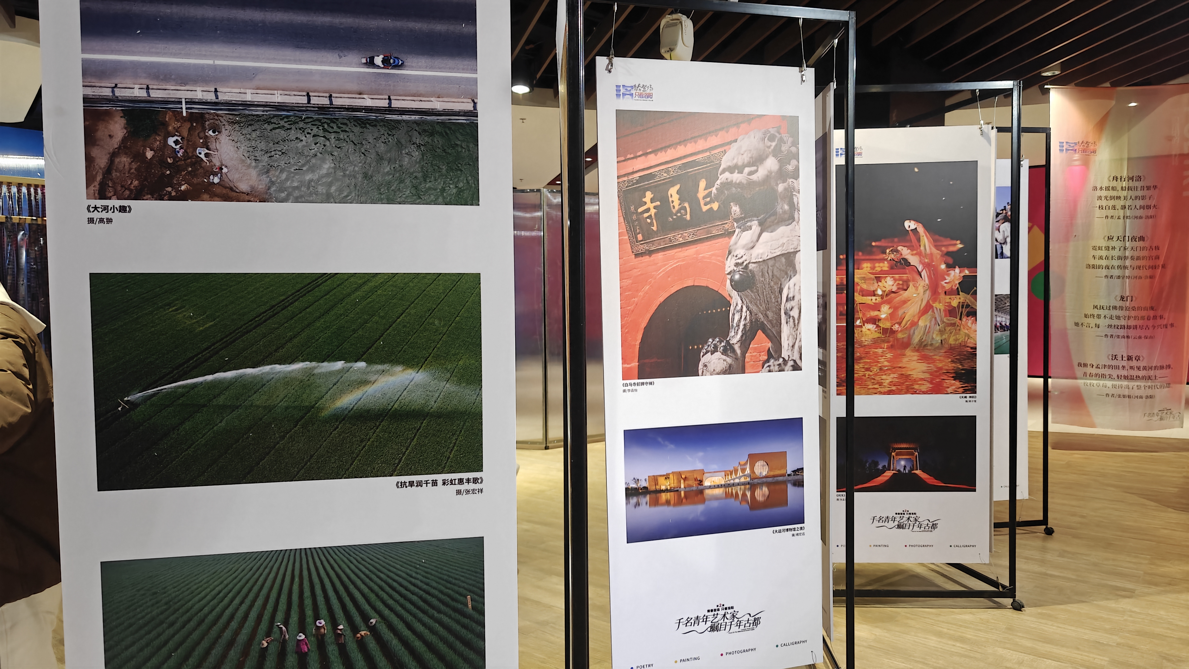 7473249444645627 29e609bb8a3bd808f079202e6f33a786.jpg