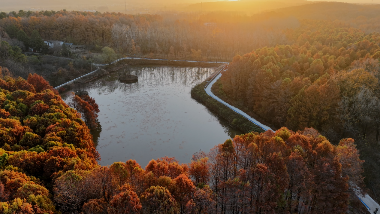 24590943722893832 圖片3.png