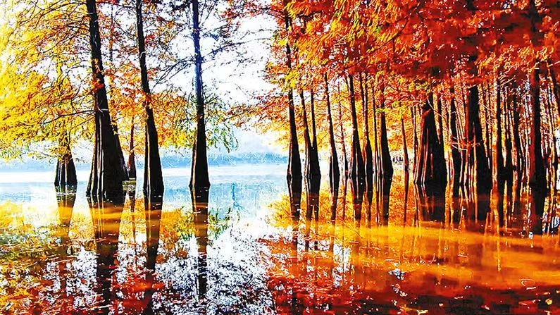 326067255433408 圖片4.png