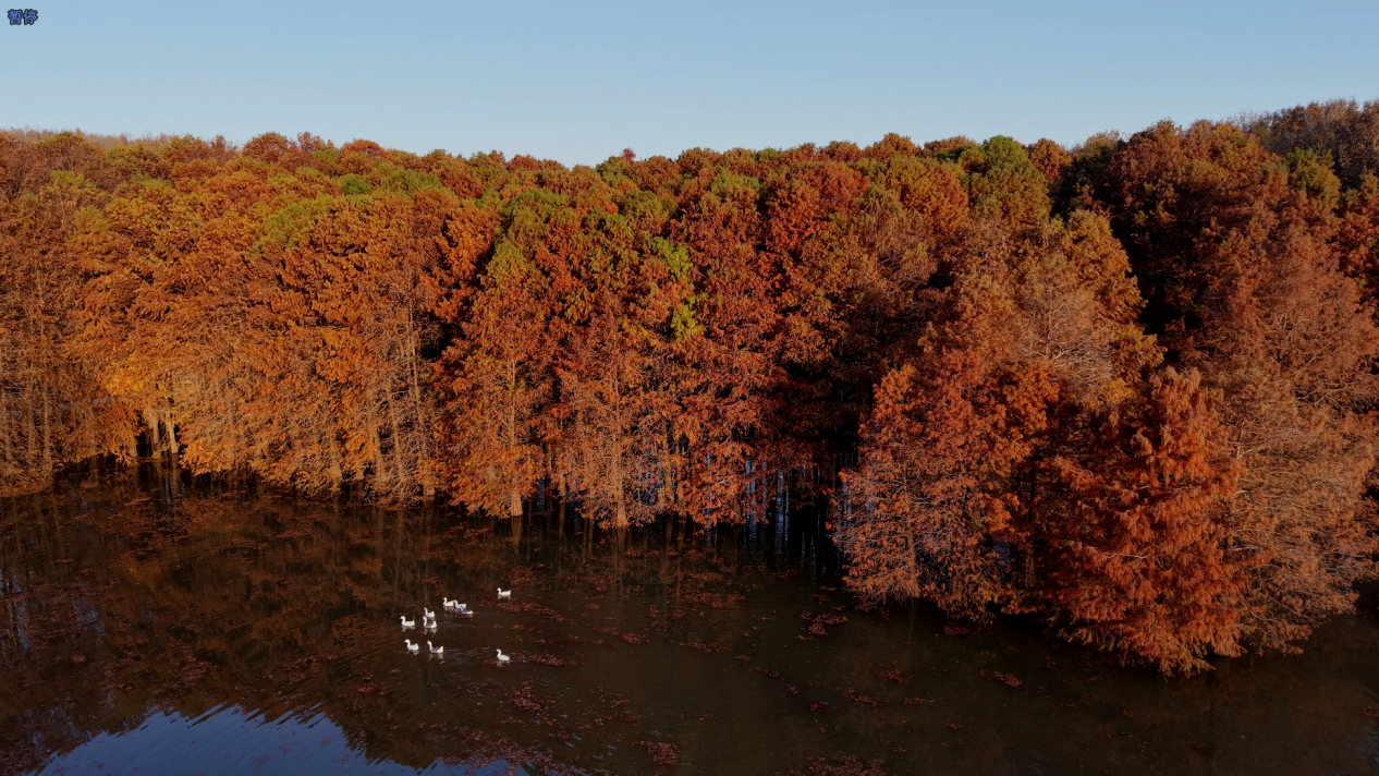 5302989076691116 圖片1.png