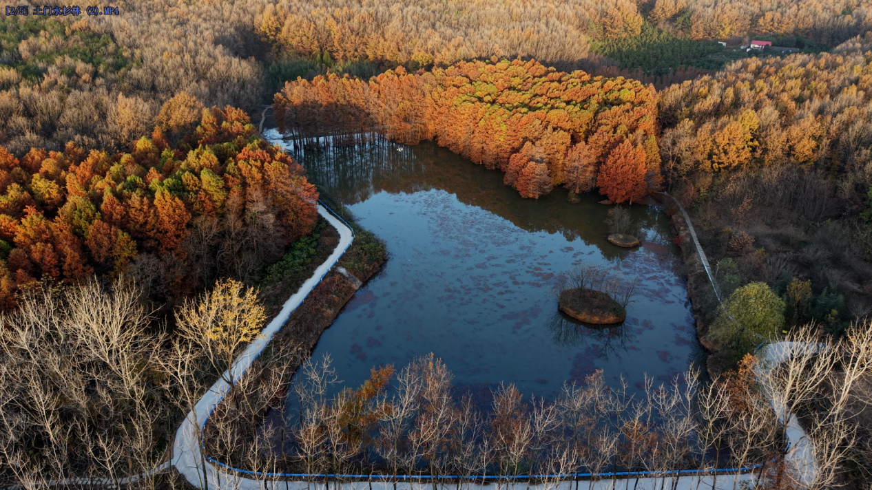 4686134942514453 圖片2.png