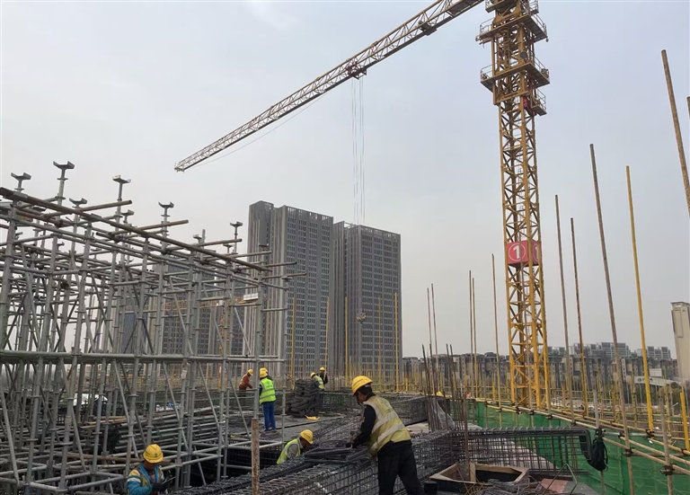 21900678926518503 1.jpg