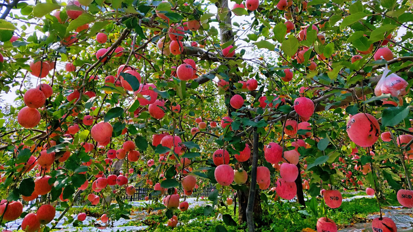 4a39a1796c2893e2ed89228148ba6b9 - 副本.jpg